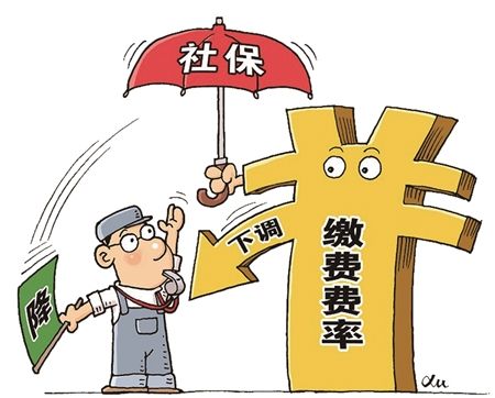 新變化！社保繳納費率下降，對線束加工廠有什么影響？
